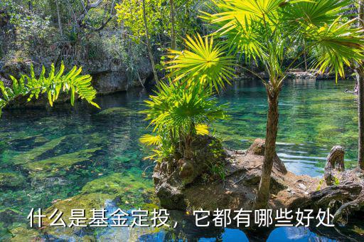 什么是基金定投，它都有哪些好處