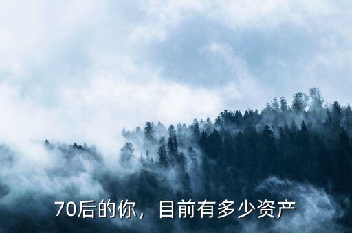 70后的你，目前有多少資產(chǎn)