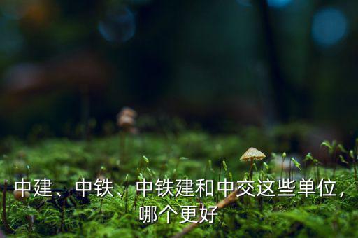 中建、中鐵、中鐵建和中交這些單位，哪個更好