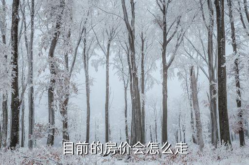 目前的房價(jià)會(huì)怎么走