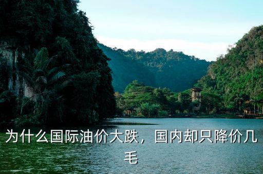 為什么國(guó)際油價(jià)大跌，國(guó)內(nèi)卻只降價(jià)幾毛