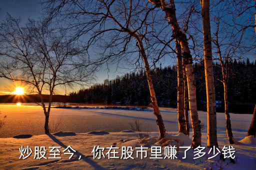 炒股至今，你在股市里賺了多少錢