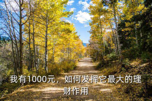 我有1000元，如何發(fā)揮它最大的理財(cái)作用