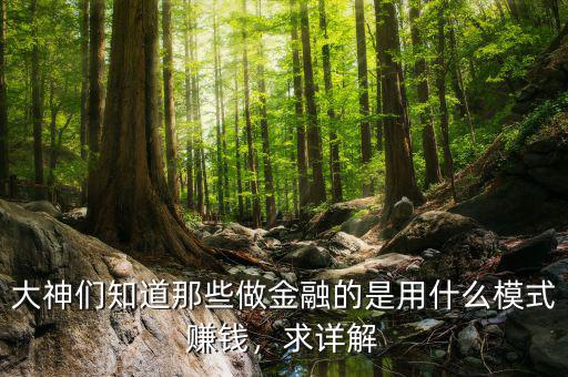 大神們知道那些做金融的是用什么模式賺錢，求詳解