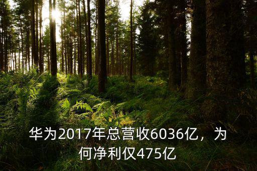 華為2017年總營收6036億，為何凈利僅475億