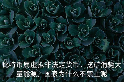 比特幣屬虛擬非法定貨幣，挖礦消耗大量能源，國家為什么不禁止呢