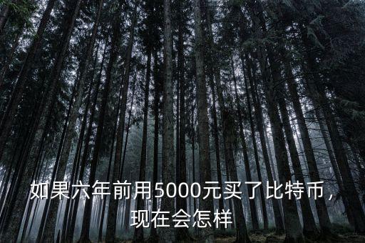 如果六年前用5000元買了比特幣，現(xiàn)在會怎樣