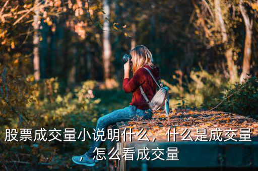 股票成交量小說(shuō)明什么，什么是成交量，怎么看成交量
