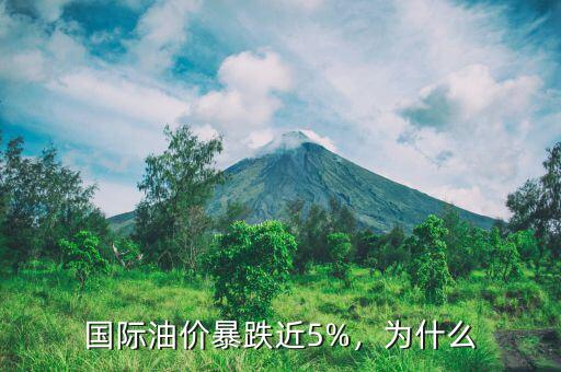 國際油價暴跌近5%，為什么