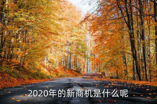 城鎮(zhèn)化帶來什么商機,農村城鎮(zhèn)化會帶來哪些機遇