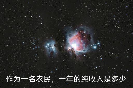 作為一名農(nóng)民，一年的純收入是多少