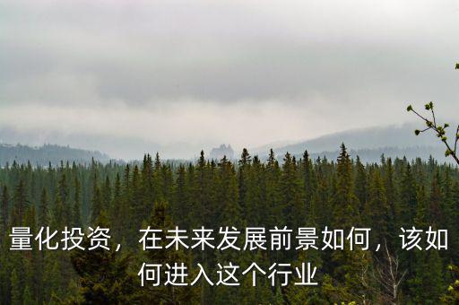 量化投資，在未來發(fā)展前景如何，該如何進入這個行業(yè)