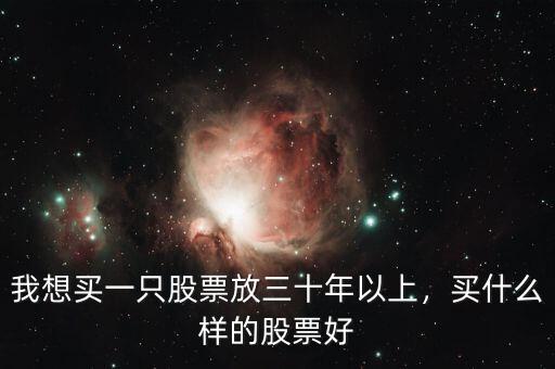 我想買(mǎi)一只股票放三十年以上，買(mǎi)什么樣的股票好