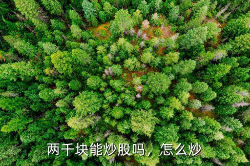 兩千塊能炒股嗎，怎么炒