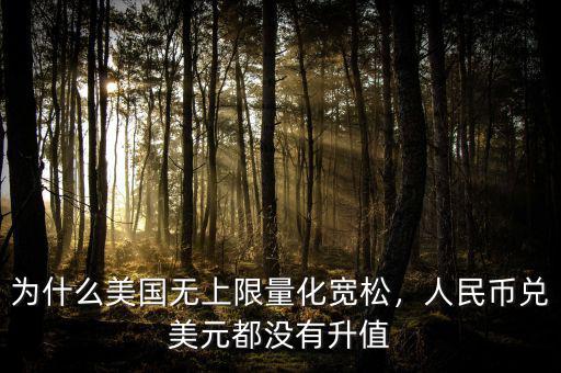 為什么美國無上限量化寬松，人民幣兌美元都沒有升值
