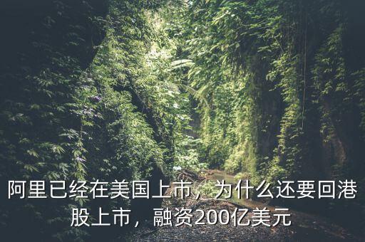 阿里已經(jīng)在美國上市，為什么還要回港股上市，融資200億美元