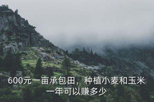 600元一畝承包田，種植小麥和玉米一年可以賺多少