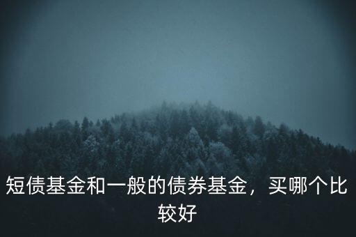 短債基金和一般的債券基金，買哪個比較好