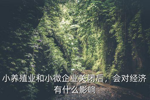 小養(yǎng)殖業(yè)和小微企業(yè)關(guān)閉后，會(huì)對(duì)經(jīng)濟(jì)有什么影響