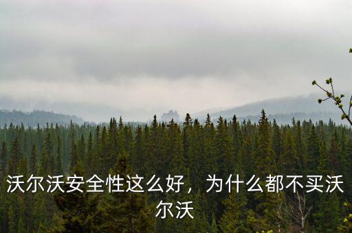 沃爾沃安全性這么好，為什么都不買沃爾沃