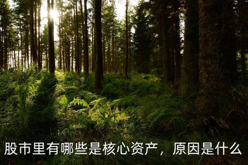 股市里有哪些是核心資產(chǎn)，原因是什么