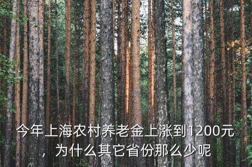 今年上海農(nóng)村養(yǎng)老金上漲到1200元，為什么其它省份那么少呢