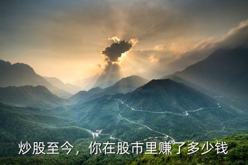 炒股至今，你在股市里賺了多少錢
