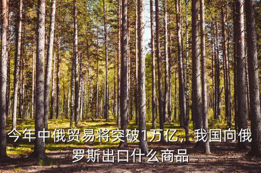 今年中俄貿(mào)易將突破1萬億，我國向俄羅斯出口什么商品