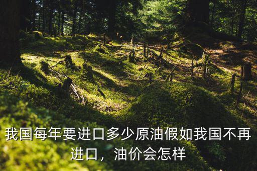 我國(guó)每年要進(jìn)口多少原油假如我國(guó)不再進(jìn)口，油價(jià)會(huì)怎樣