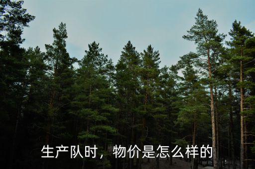 生產(chǎn)隊(duì)時(shí)，物價(jià)是怎么樣的