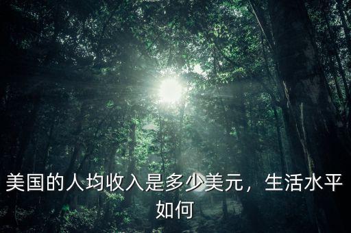 美國的人均收入是多少美元，生活水平如何
