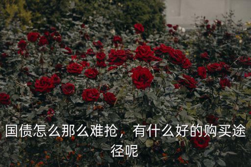 國債怎么那么難搶，有什么好的購買途徑呢