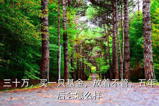 三十萬(wàn)，買一只基金，放著不管，五年后會(huì)怎么樣