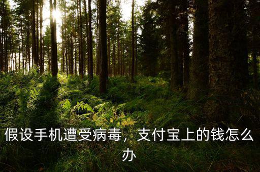 假設(shè)手機(jī)遭受病毒，支付寶上的錢(qián)怎么辦