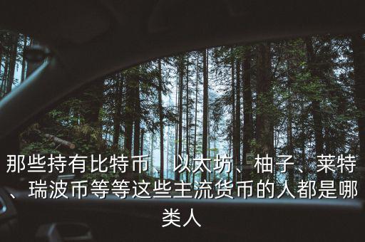 那些持有比特幣、以太坊、柚子、萊特、瑞波幣等等這些主流貨幣的人都是哪類人