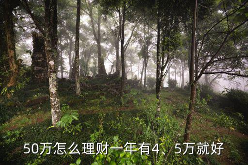 50萬怎么理財一年有4、5萬就好