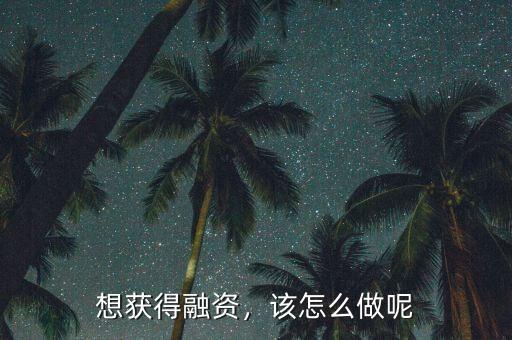 想獲得融資，該怎么做呢