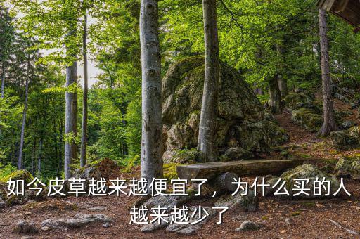如今皮草越來(lái)越便宜了，為什么買的人越來(lái)越少了