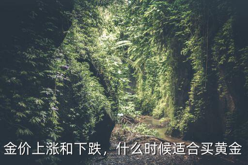 金價(jià)什么時(shí)候會(huì)漲,黃金價(jià)格一般什么時(shí)候會(huì)漲