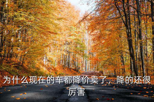為什么現(xiàn)在的車都降價賣了，降的還很厲害