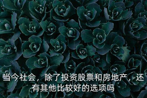 當(dāng)今社會(huì)，除了投資股票和房地產(chǎn)，還有其他比較好的選項(xiàng)嗎