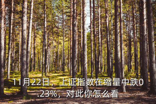 11月22日，上證指數(shù)在縮量中跌0.23%，對此你怎么看