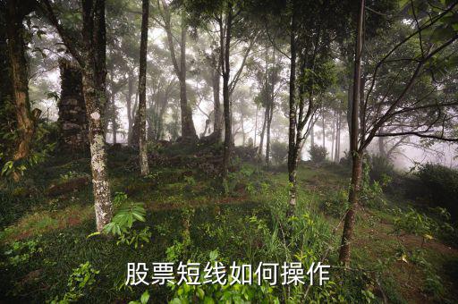 股票短線(xiàn)如何操作