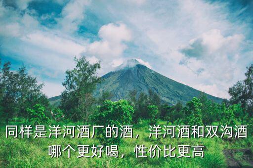 同樣是洋河酒廠(chǎng)的酒，洋河酒和雙溝酒哪個(gè)更好喝，性?xún)r(jià)比更高