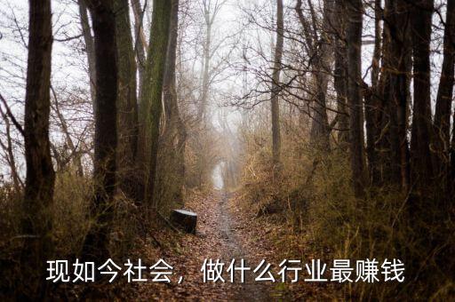 現(xiàn)如今社會，做什么行業(yè)最賺錢