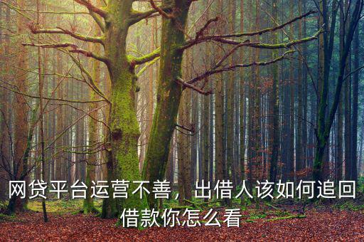 網(wǎng)貸平臺(tái)運(yùn)營(yíng)不善，出借人該如何追回借款你怎么看