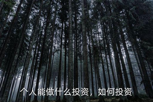 個人能做什么投資，如何投資