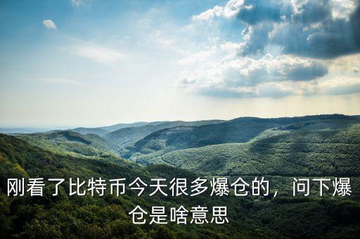 剛看了比特幣今天很多爆倉的，問下爆倉是啥意思