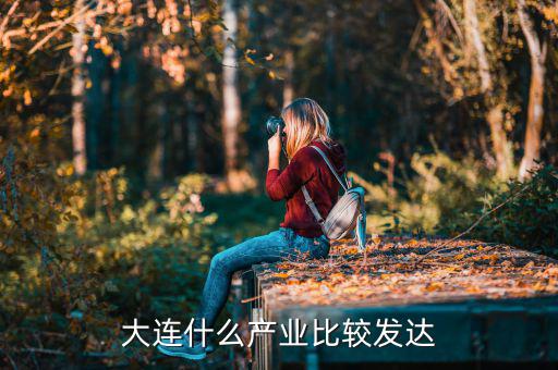 大連什么產業(yè)比較發(fā)達