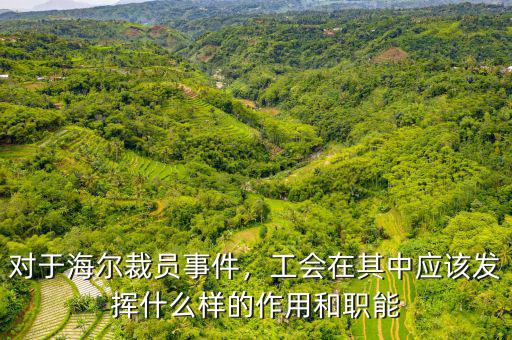 對(duì)于海爾裁員事件，工會(huì)在其中應(yīng)該發(fā)揮什么樣的作用和職能
